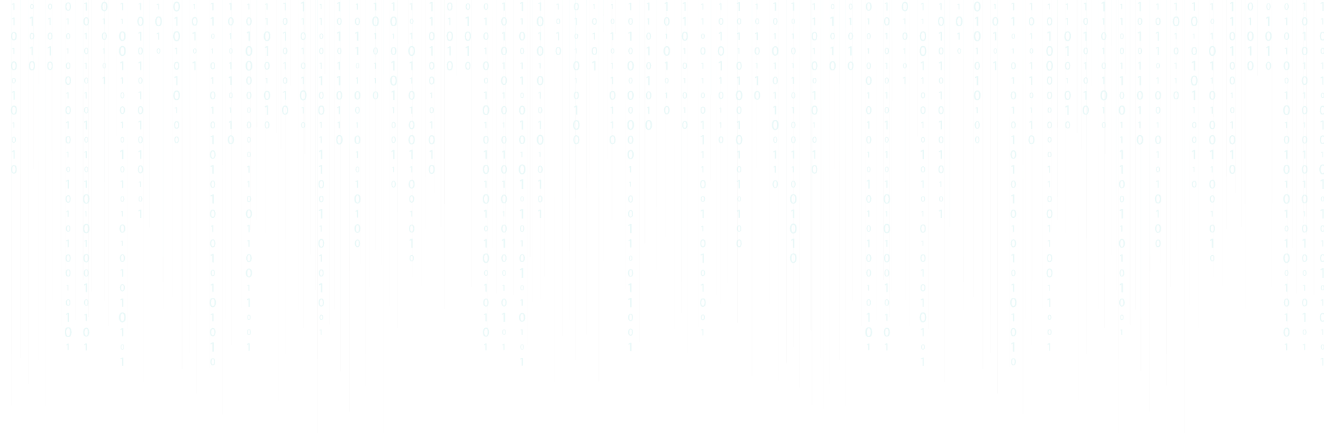 Professional{Web developer}
